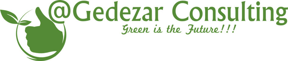 At Gedezar Consulting 